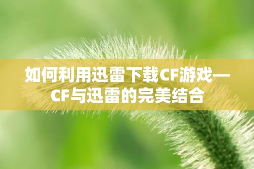 如何利用迅雷下载CF游戏图片