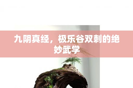极乐谷双刺的绝妙武学图片