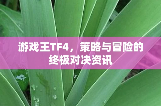 策略与冒险的终极对决资讯图片
