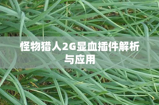 怪物猎人2G显血插件解析与应用图片