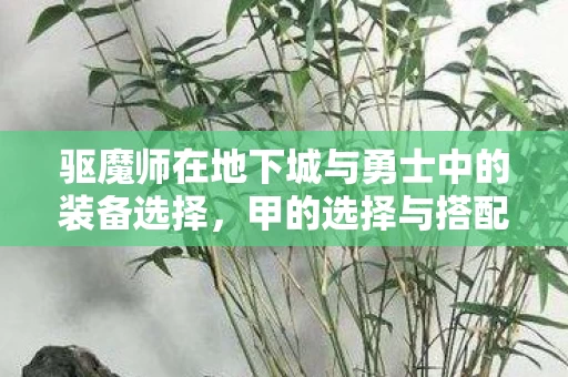 驱魔师在地下城与勇士中的装备选择图片