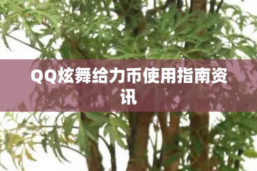 QQ炫舞给力币使用指南资讯图片