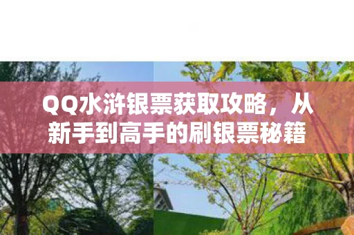 从新手到高手的刷银票秘籍图片