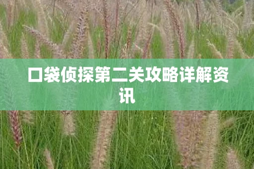 口袋侦探第二关攻略详解资讯图片