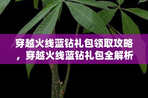 穿越火线蓝钻礼包领取攻略图片