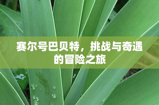 挑战与奇遇的冒险之旅图片