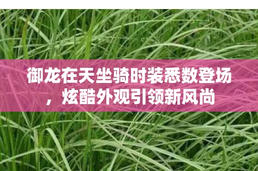 御龙在天坐骑时装悉数登场图片