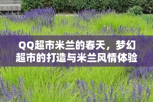 梦幻超市的打造与米兰风情体验图片