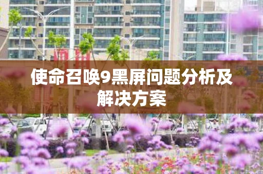 使命召唤9黑屏问题分析及解决方案图片