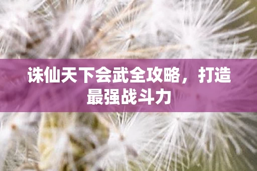 诛仙天下会武全攻略图片