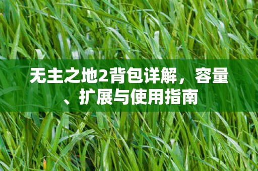 无主之地2背包详解图片