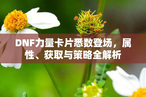 DNF力量卡片悉数登场图片