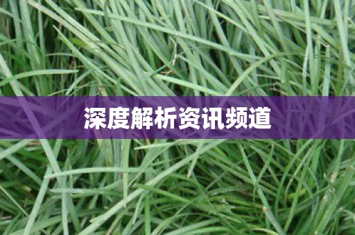 深度解析资讯频道图片