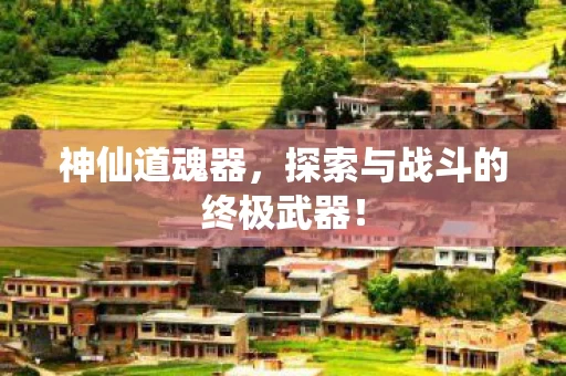探索与战斗的终极武器图片