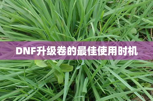 DNF升级卷的最佳使用时机图片