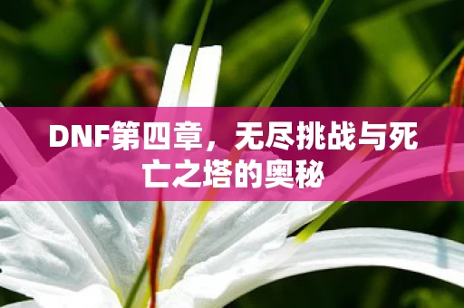 无尽挑战与死亡之塔的奥秘图片