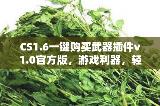 6一键购买武器插件v1图片