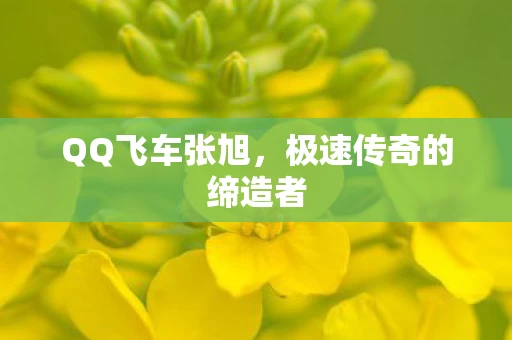 极速传奇的缔造者图片