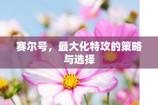 最大化特攻的策略与选择图片