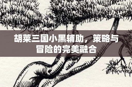 策略与冒险的完美融合图片