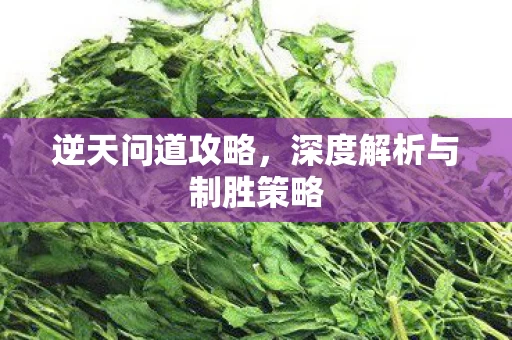 深度解析与制胜策略图片