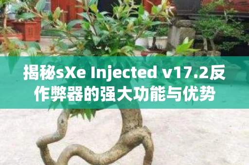 揭秘sXe Injected v17图片