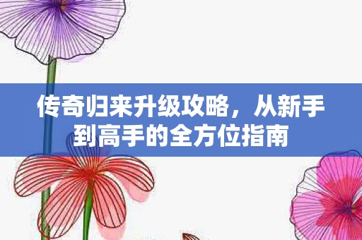 从新手到高手的全方位指南图片