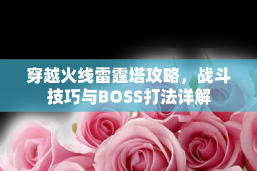 战斗技巧与BOSS打法详解图片