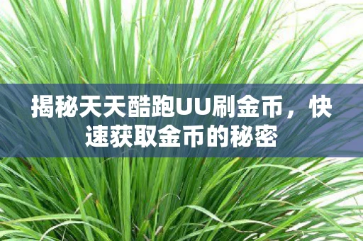 揭秘天天酷跑UU刷金币图片