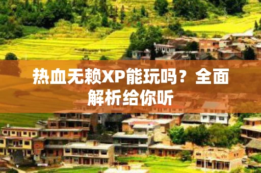 热血无赖XP能玩吗图片