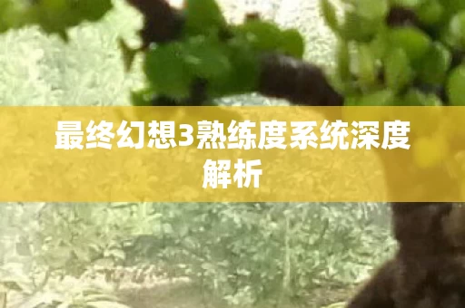 最终幻想3熟练度系统深度解析图片