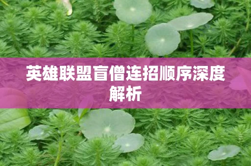 英雄联盟盲僧连招顺序深度解析图片