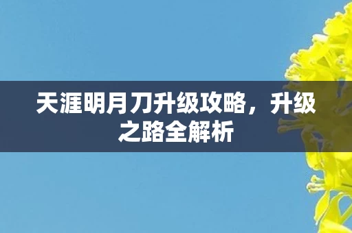 天涯明月刀升级攻略图片