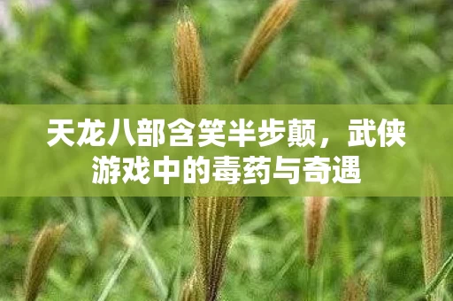 武侠游戏中的毒药与奇遇图片