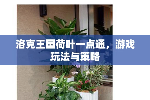 洛克王国荷叶一点通图片