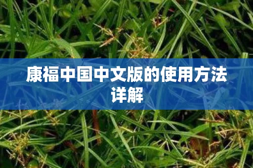康福中国中文版的使用方法详解图片