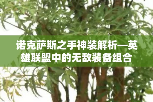 英雄联盟中的无敌装备组合图片