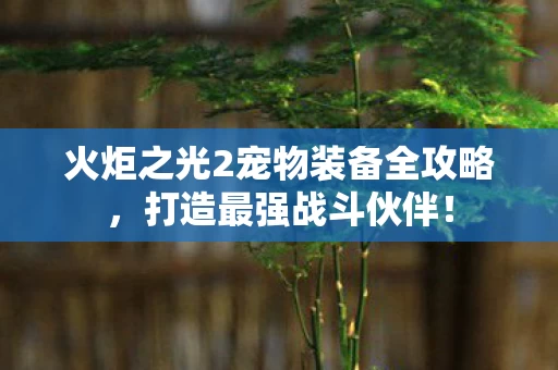 火炬之光2宠物装备全攻略图片