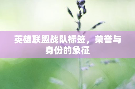 英雄联盟战队标签图片