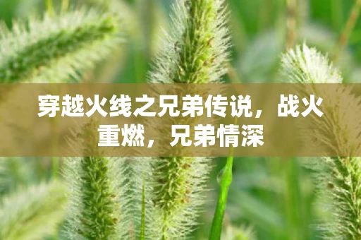 穿越火线之兄弟传说图片