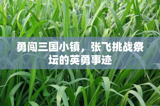 张飞挑战祭坛的英勇事迹图片