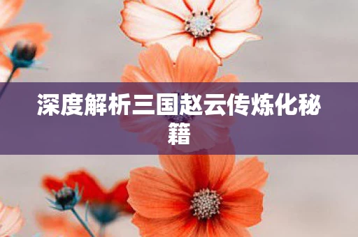深度解析三国赵云传炼化秘籍图片