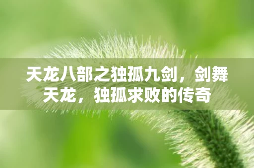 天龙八部之独孤九剑图片