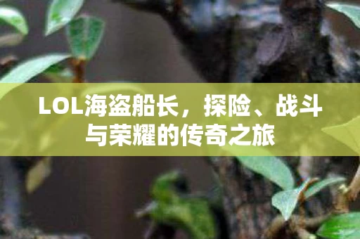 战斗与荣耀的传奇之旅图片