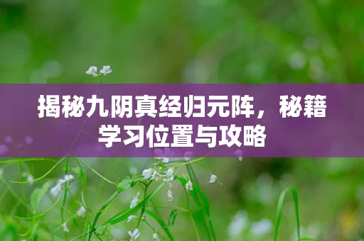 揭秘九阴真经归元阵图片