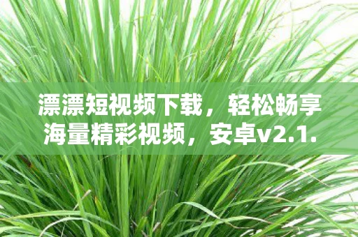 轻松畅享海量精彩视频图片