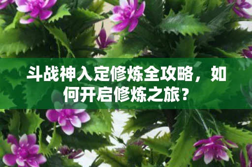 斗战神入定修炼全攻略图片