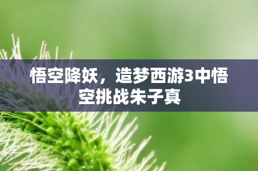 造梦西游3中悟空挑战朱子真图片