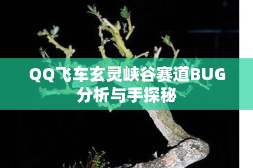 QQ飞车玄灵峡谷赛道BUG分析与手探秘图片