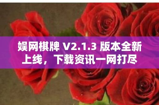 3 版本全新上线图片